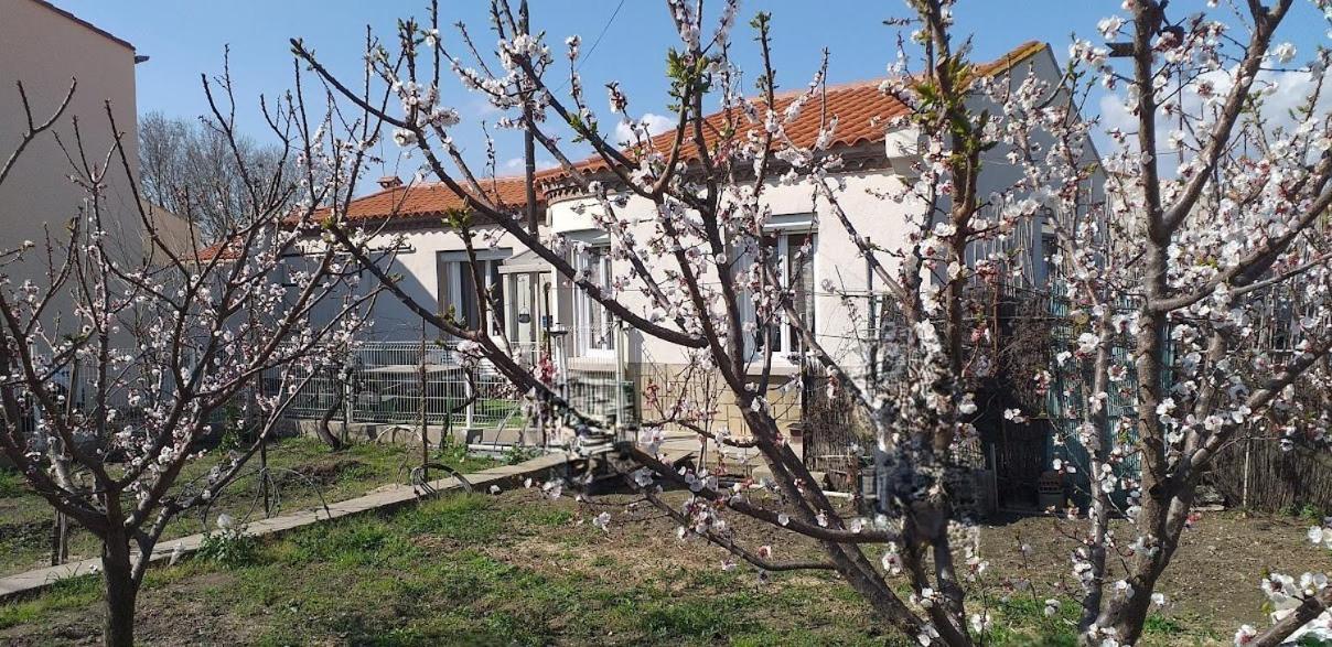 La Maison Du Bonheur Saint-Laurent-de-la-Salanque Dış mekan fotoğraf